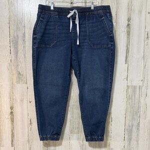 Lane Bryant Dark Blue Ankle Jeans